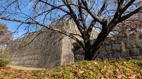天守台~その1~ 弁護士 宮岡孝之